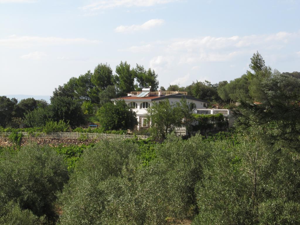 Villa Maria Dorgali Quarto foto