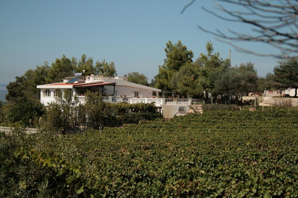 Villa Maria Dorgali Exterior foto