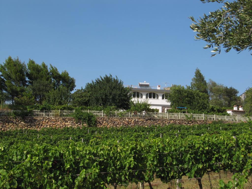 Villa Maria Dorgali Exterior foto